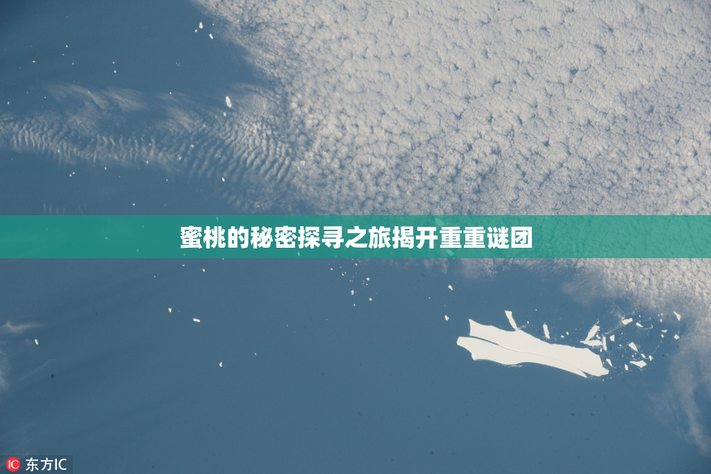 蜜桃的秘密探寻之旅揭开重重谜团