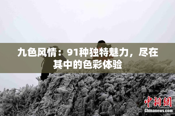 九色风情：91种独特魅力，尽在其中的色彩体验