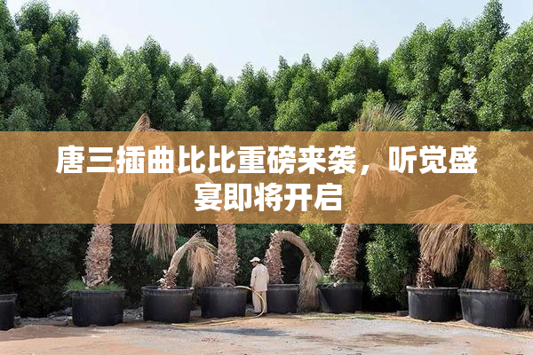 唐三插曲比比重磅来袭，听觉盛宴即将开启