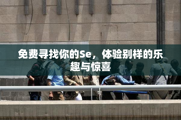 免费寻找你的Se，体验别样的乐趣与惊喜