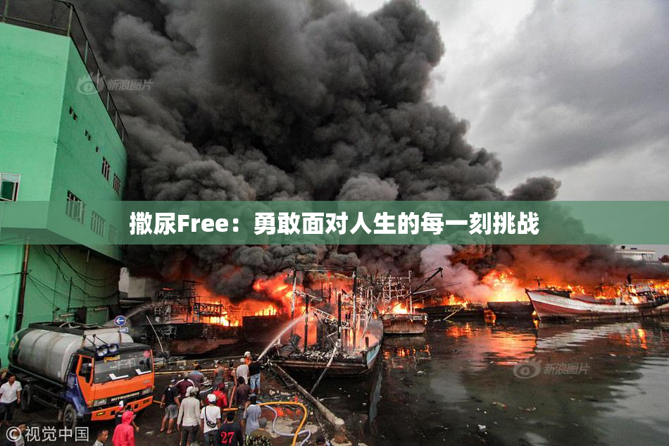 撒尿Free：勇敢面对人生的每一刻挑战