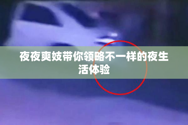 夜夜爽妓带你领略不一样的夜生活体验