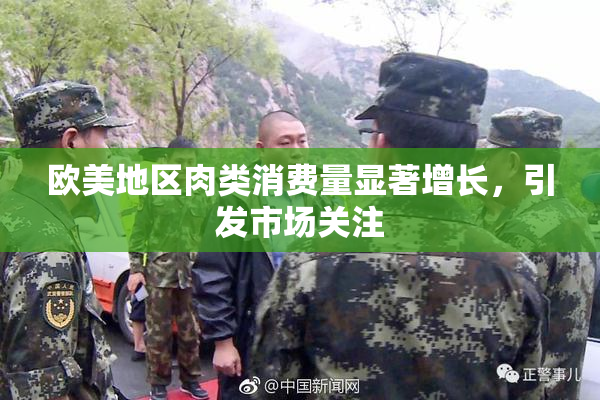 欧美地区肉类消费量显著增长，引发市场关注