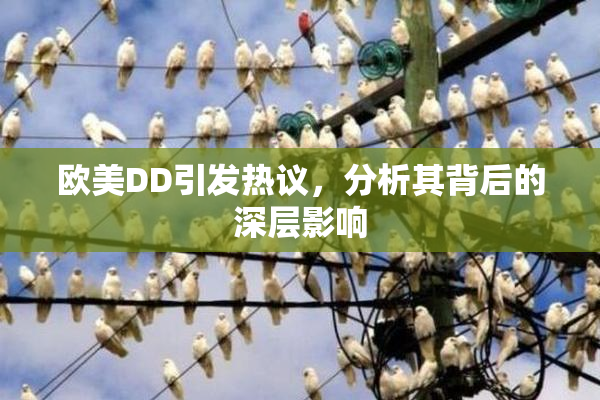 欧美DD引发热议，分析其背后的深层影响