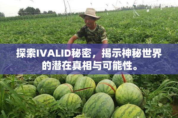 探索IVALID秘密，揭示神秘世界的潜在真相与可能性。