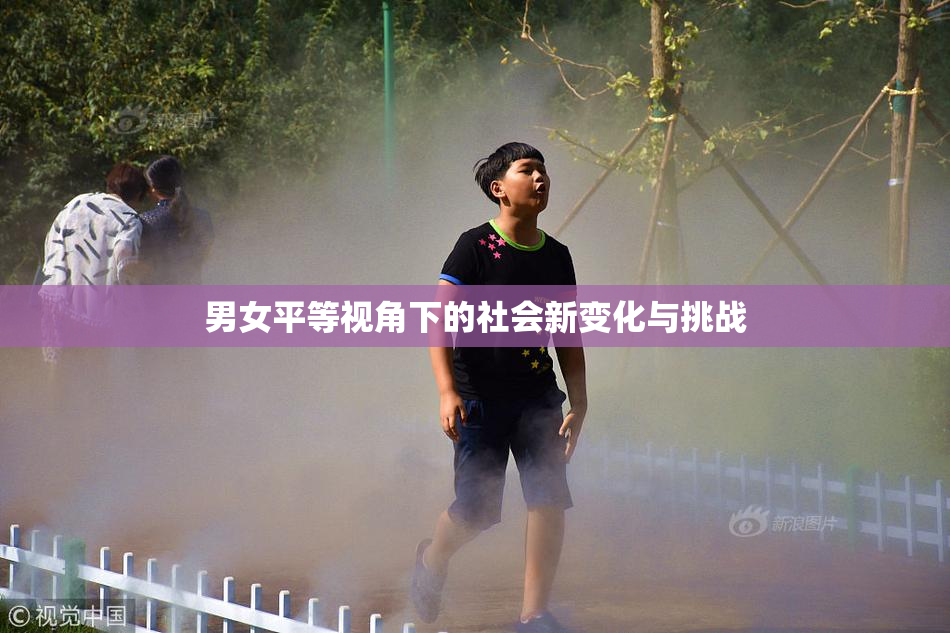 男女平等视角下的社会新变化与挑战