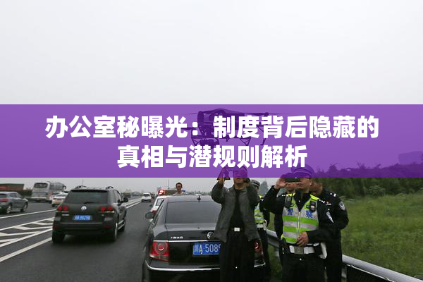 办公室秘曝光：制度背后隐藏的真相与潜规则解析