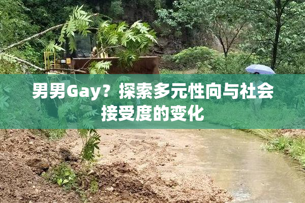 男男Gay？探索多元性向与社会接受度的变化