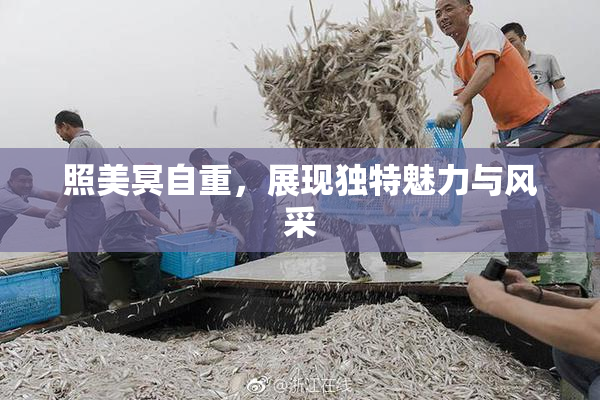 照美冥自重，展现独特魅力与风采