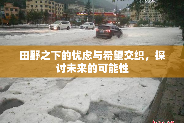 田野之下的忧虑与希望交织，探讨未来的可能性