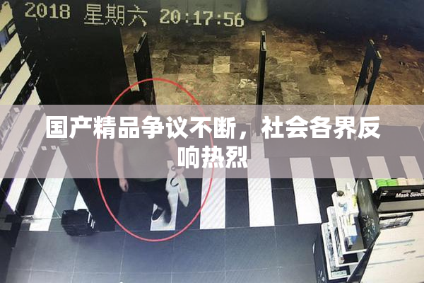 国产精品争议不断，社会各界反响热烈