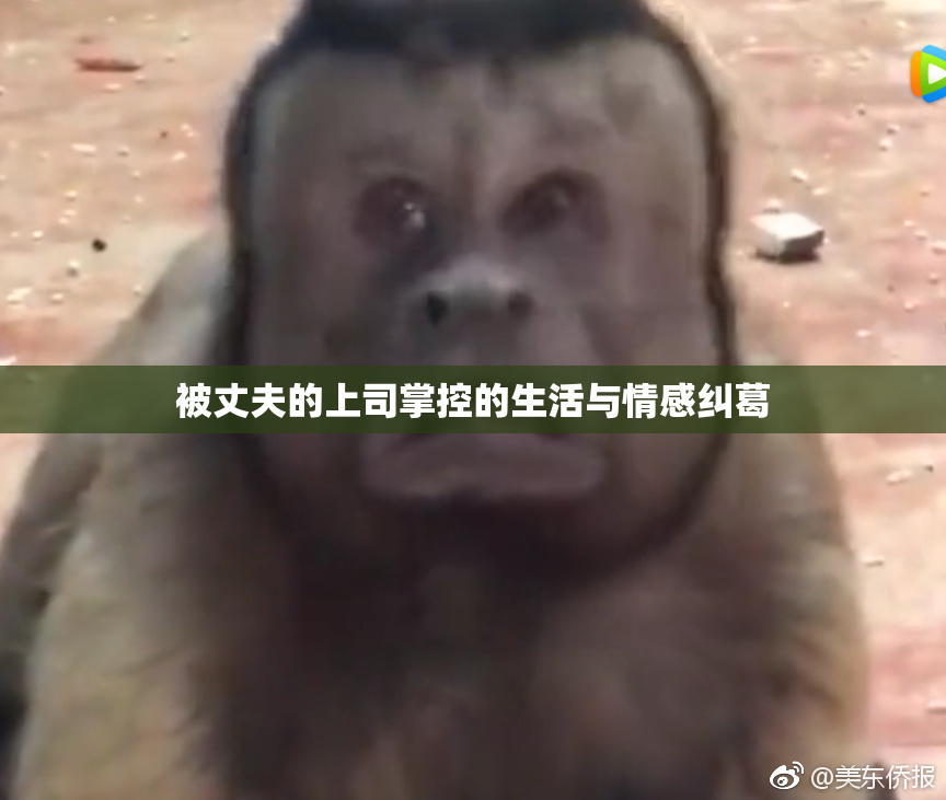 被丈夫的上司掌控的生活与情感纠葛