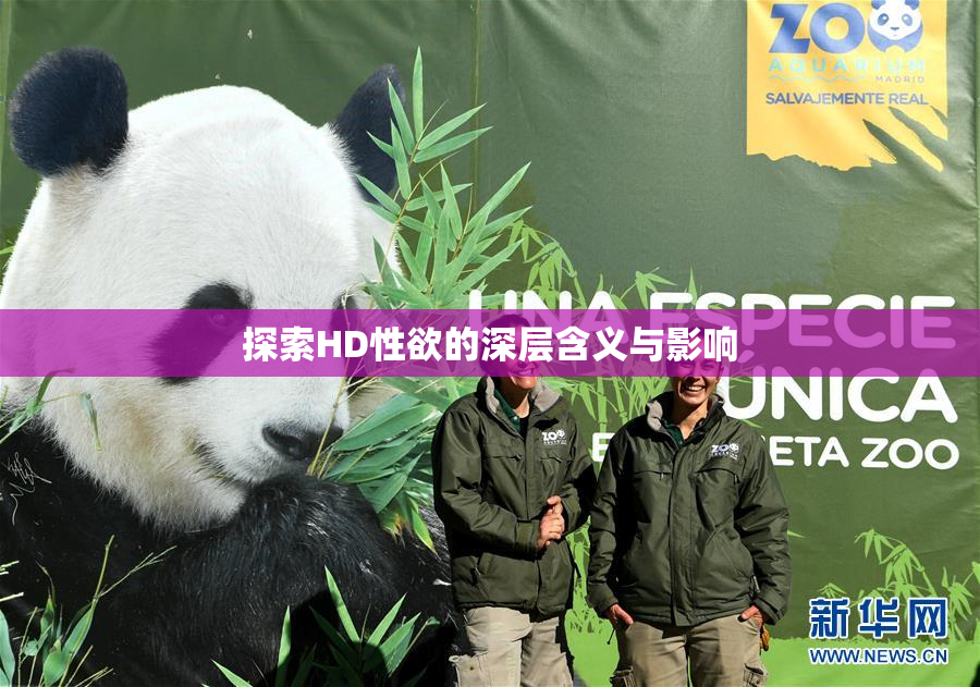 探索HD性欲的深层含义与影响