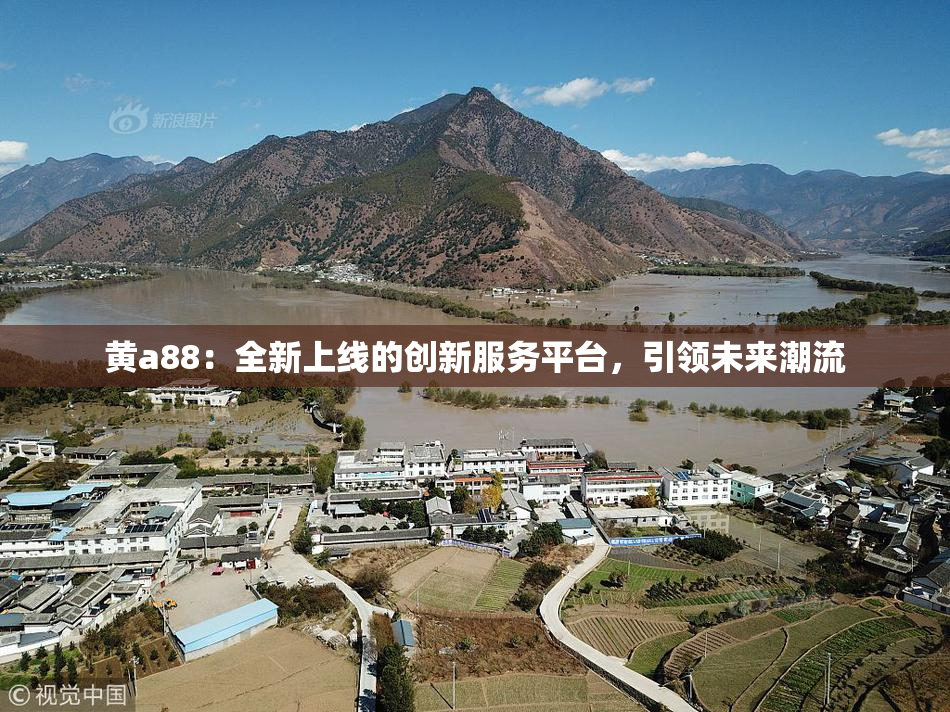 黄a88：全新上线的创新服务平台，引领未来潮流