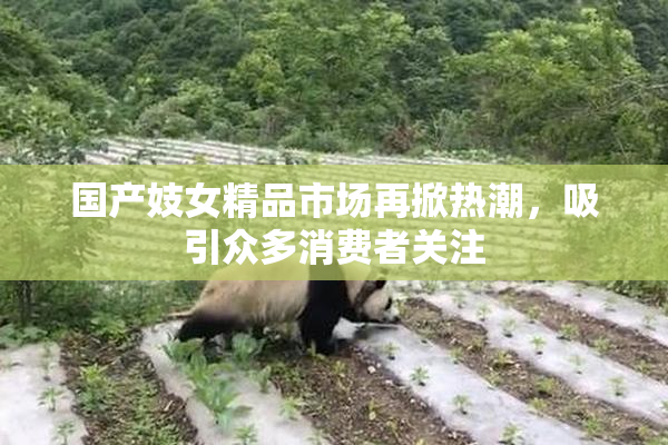 国产妓女精品市场再掀热潮，吸引众多消费者关注
