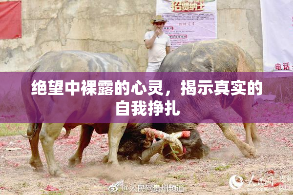 绝望中裸露的心灵，揭示真实的自我挣扎