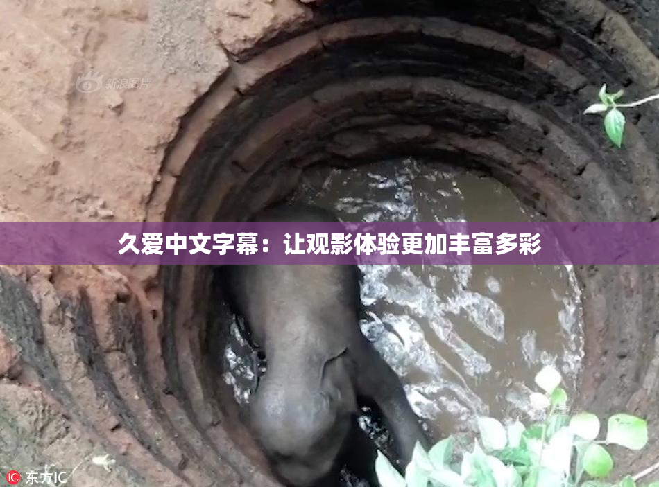 久爱中文字幕：让观影体验更加丰富多彩