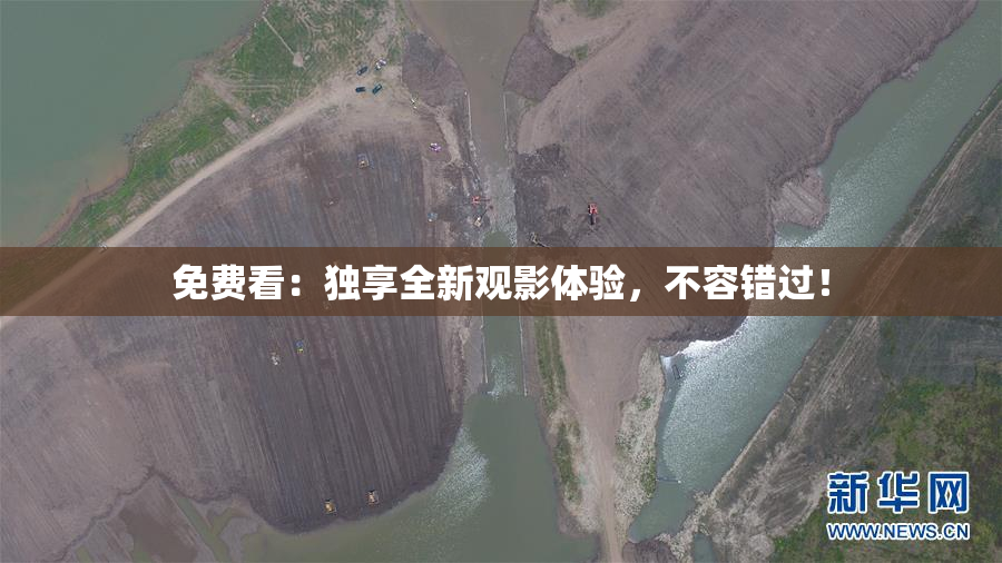 免费看：独享全新观影体验，不容错过！