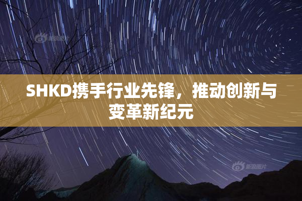 SHKD携手行业先锋，推动创新与变革新纪元