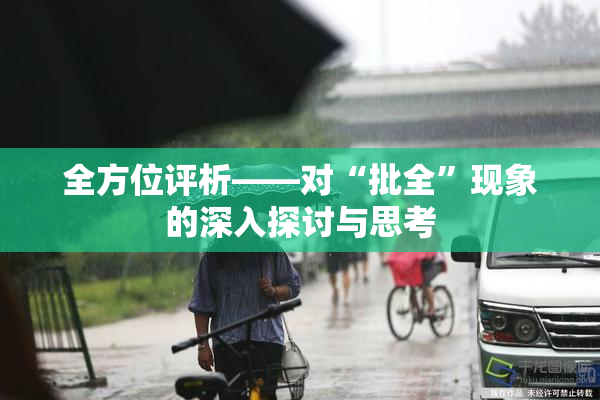 全方位评析——对“批全”现象的深入探讨与思考