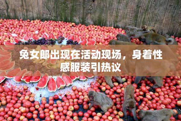 兔女郎出现在活动现场，身着性感服装引热议