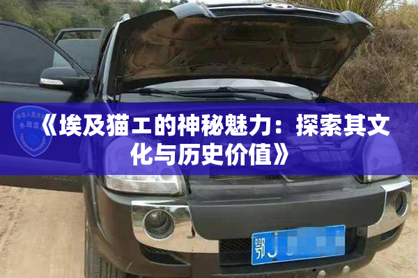 《埃及猫エ的神秘魅力：探索其文化与历史价值》