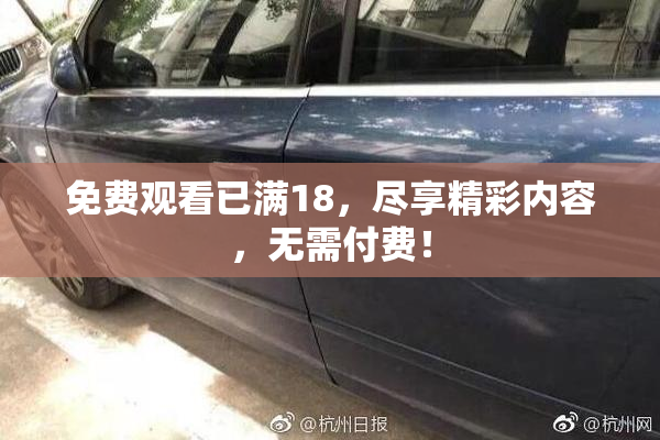 免费观看已满18，尽享精彩内容，无需付费！