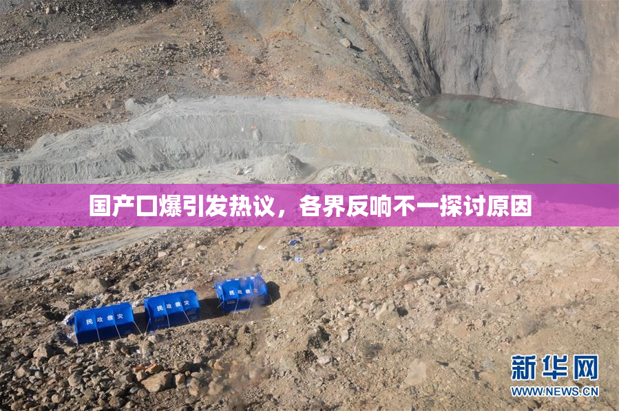 国产囗爆引发热议，各界反响不一探讨原因