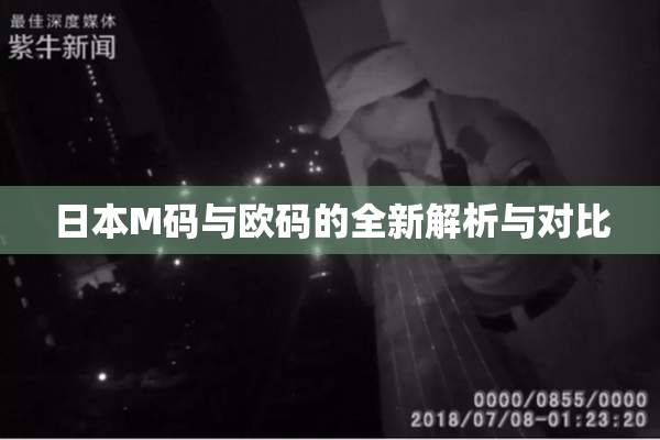 日本M码与欧码的全新解析与对比