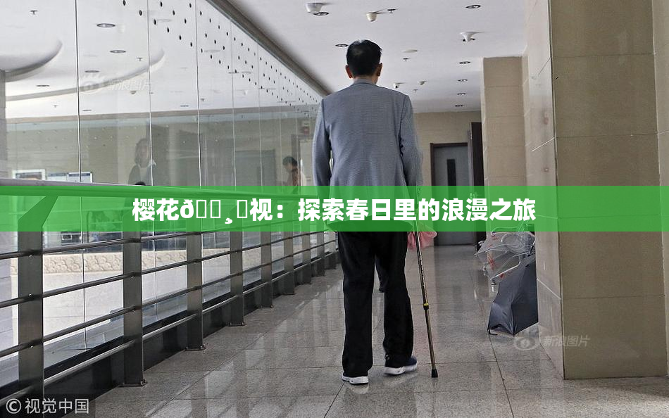 樱花🌸‌视：探索春日里的浪漫之旅