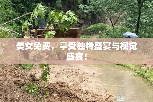 美女免费，享受独特盛宴与视觉盛宴！