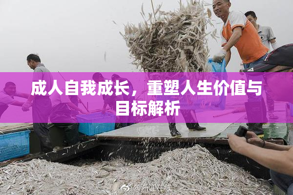 成人自我成长，重塑人生价值与目标解析