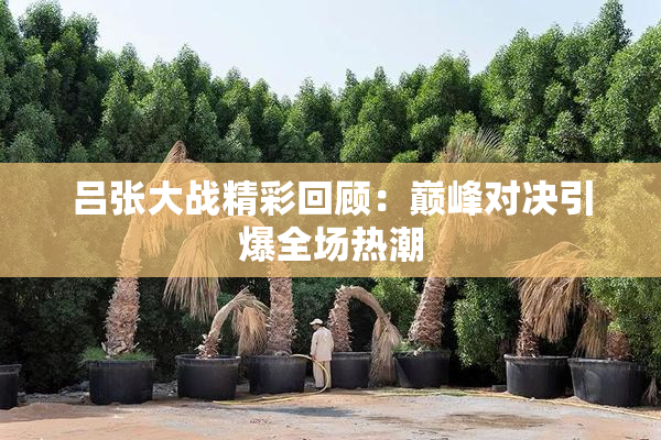 吕张大战精彩回顾：巅峰对决引爆全场热潮