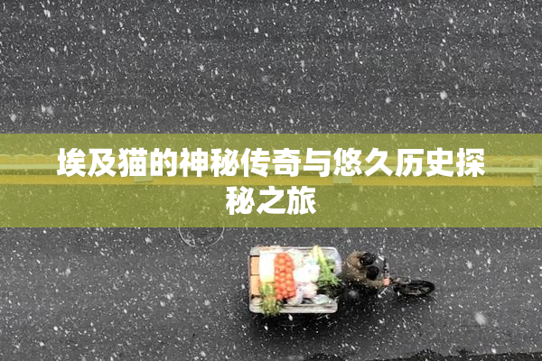 埃及猫的神秘传奇与悠久历史探秘之旅