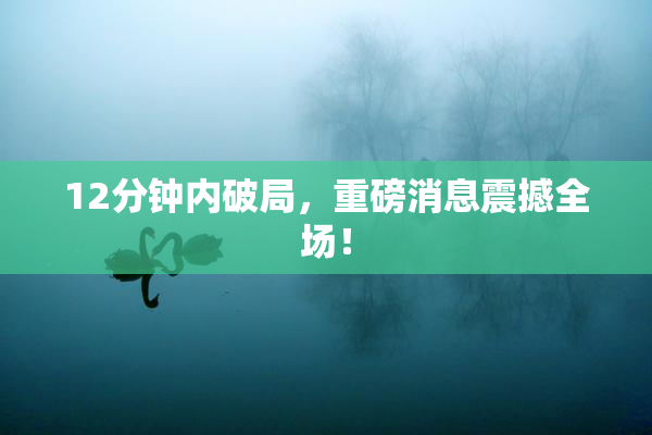 12分钟内破局，重磅消息震撼全场！