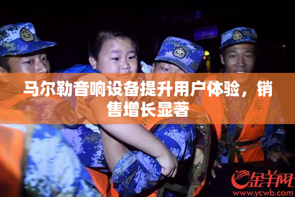 马尔勒音响设备提升用户体验，销售增长显著
