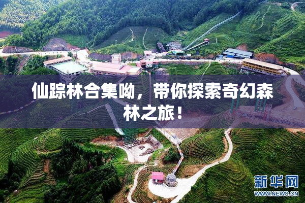仙踪林合集呦，带你探索奇幻森林之旅！