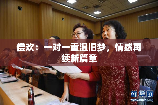 偿欢：一对一重温旧梦，情感再续新篇章