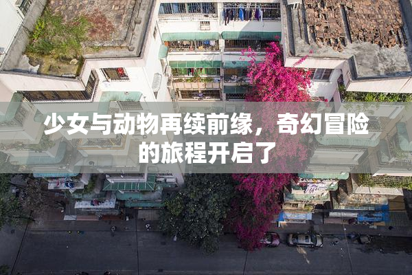 少女与动物再续前缘，奇幻冒险的旅程开启了