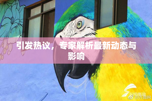 引发热议，专家解析最新动态与影响