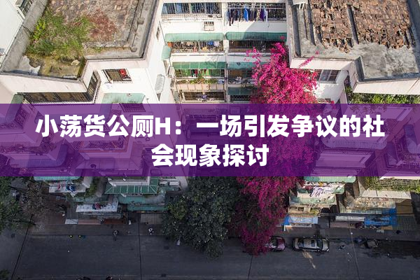 小荡货公厕H：一场引发争议的社会现象探讨
