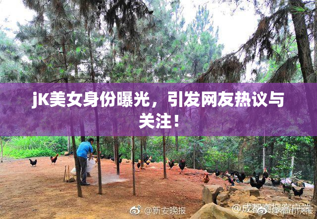 jK美女身份曝光，引发网友热议与关注！