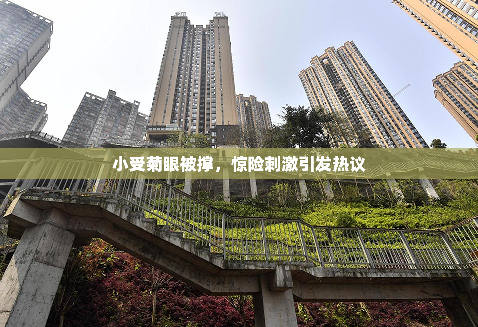 小受菊眼被撑，惊险刺激引发热议