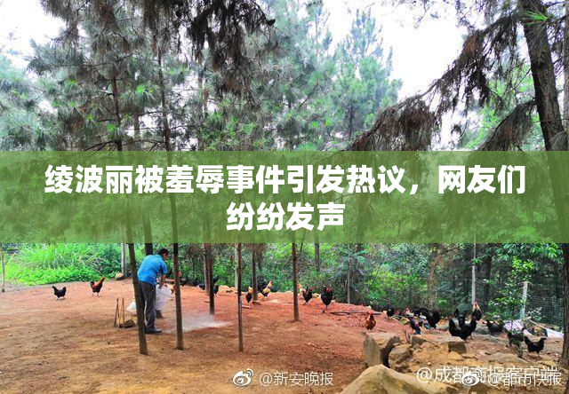 绫波丽被羞辱事件引发热议，网友们纷纷发声