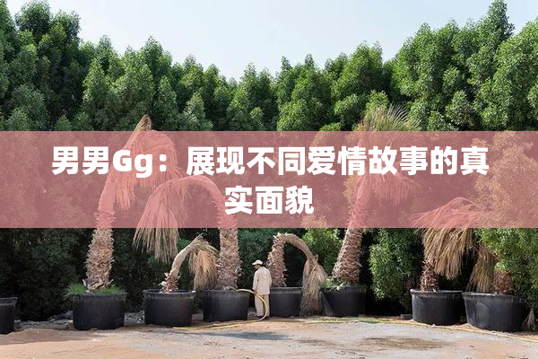 男男Gg：展现不同爱情故事的真实面貌
