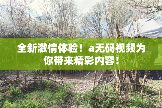 全新激情体验！a无码视频为你带来精彩内容！