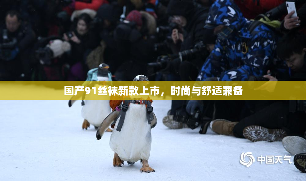 国产91丝袜新款上市，时尚与舒适兼备