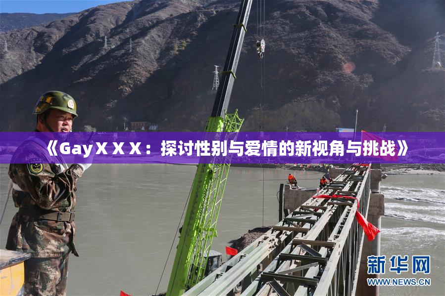 《GayⅩⅩⅩ：探讨性别与爱情的新视角与挑战》