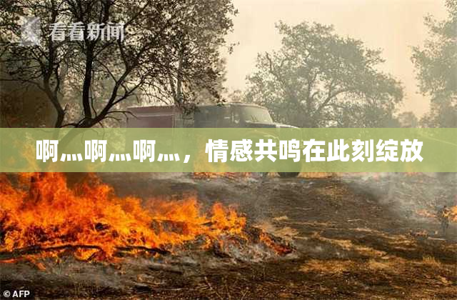 啊灬啊灬啊灬，情感共鸣在此刻绽放