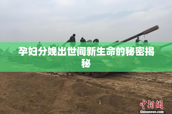 孕妇分娩出世间新生命的秘密揭秘